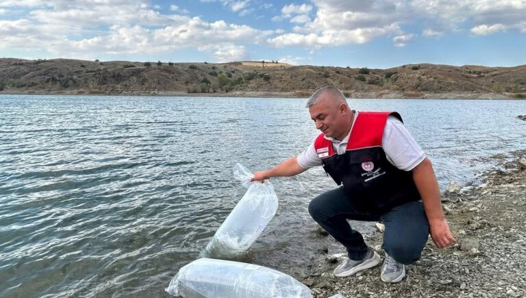 cankirida-ic-sulara-626-bin-sazan-yavrusu-birakildi-vM6cxhpP.jpg