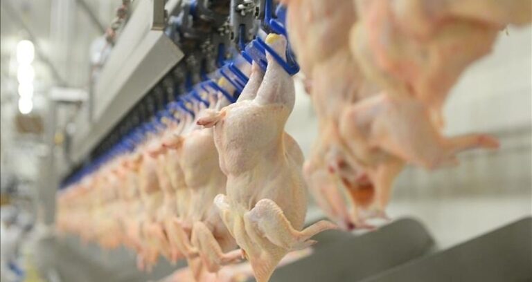 haftada 300 gramdan fazla tavuk eti tuketenlere kotu haber nBmrmigK