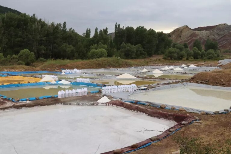 sivastan japonyaya esmer tuz ihraci SA9n8NYT