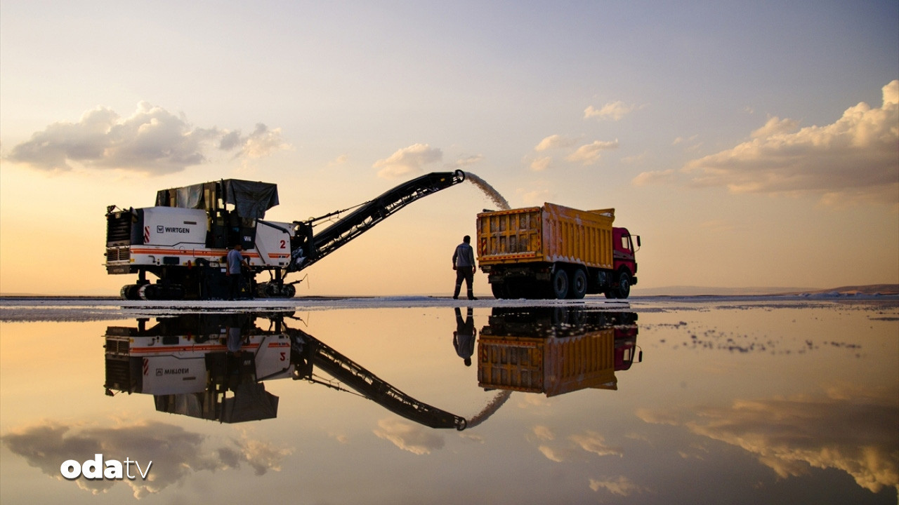 anadolunun beyaz hazinesi 5 kitaya ulasti vLWKzK78