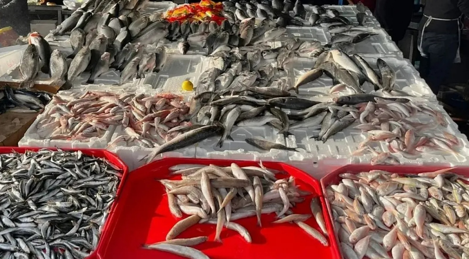 fiyati dusunce talep artti naKt4lTl