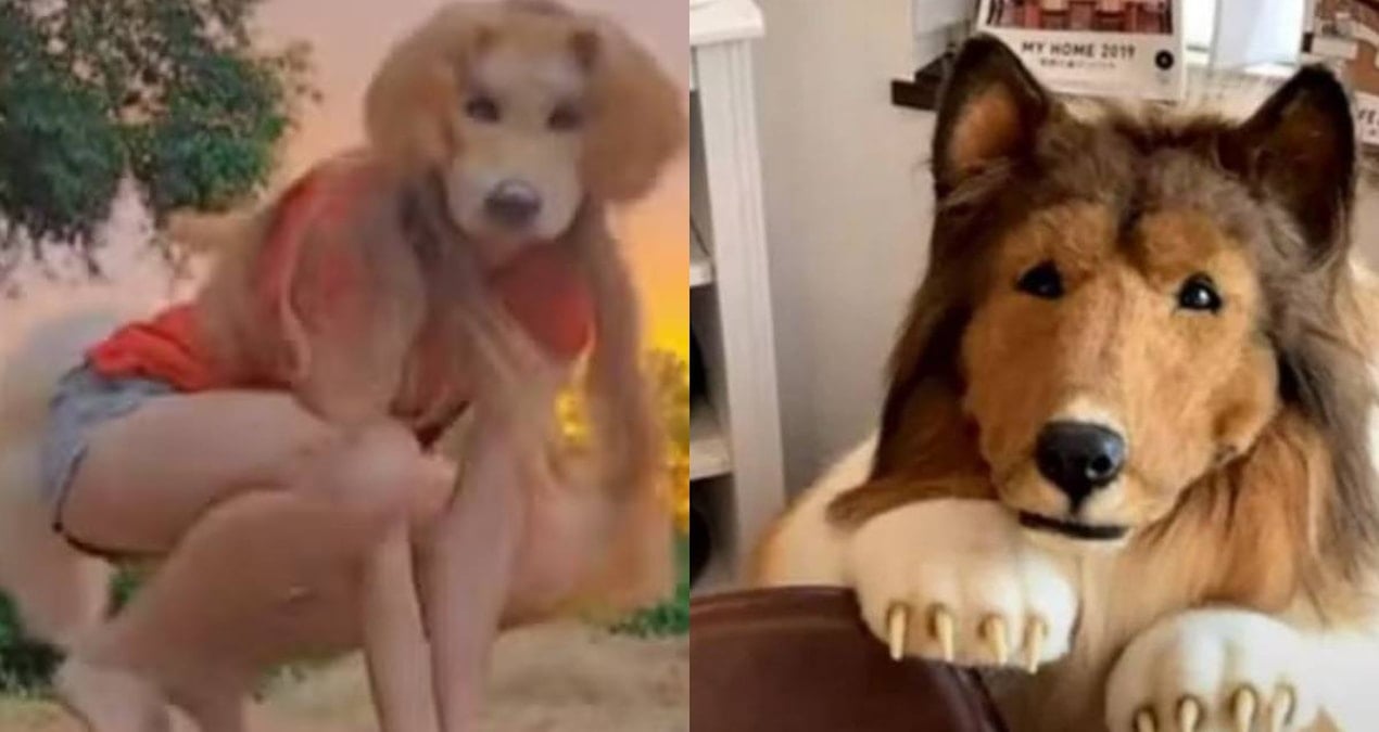 kopek olmak icin servet harcayan japon adama yeni rakip cikti nebnfhYR