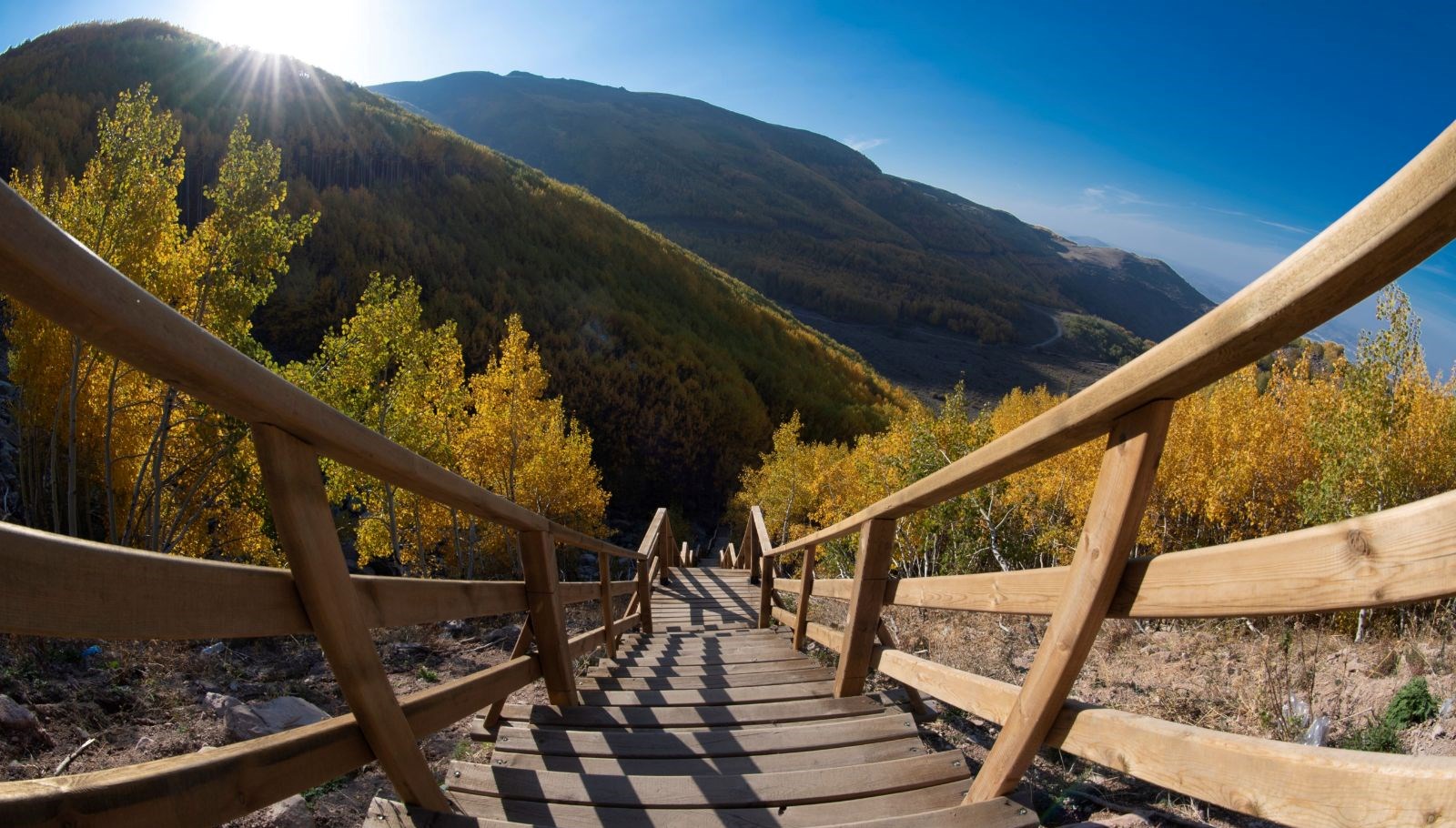 dogaseverlerin kayserideki sakli hazinesi ortaseki ormanlari BZp7yEq7