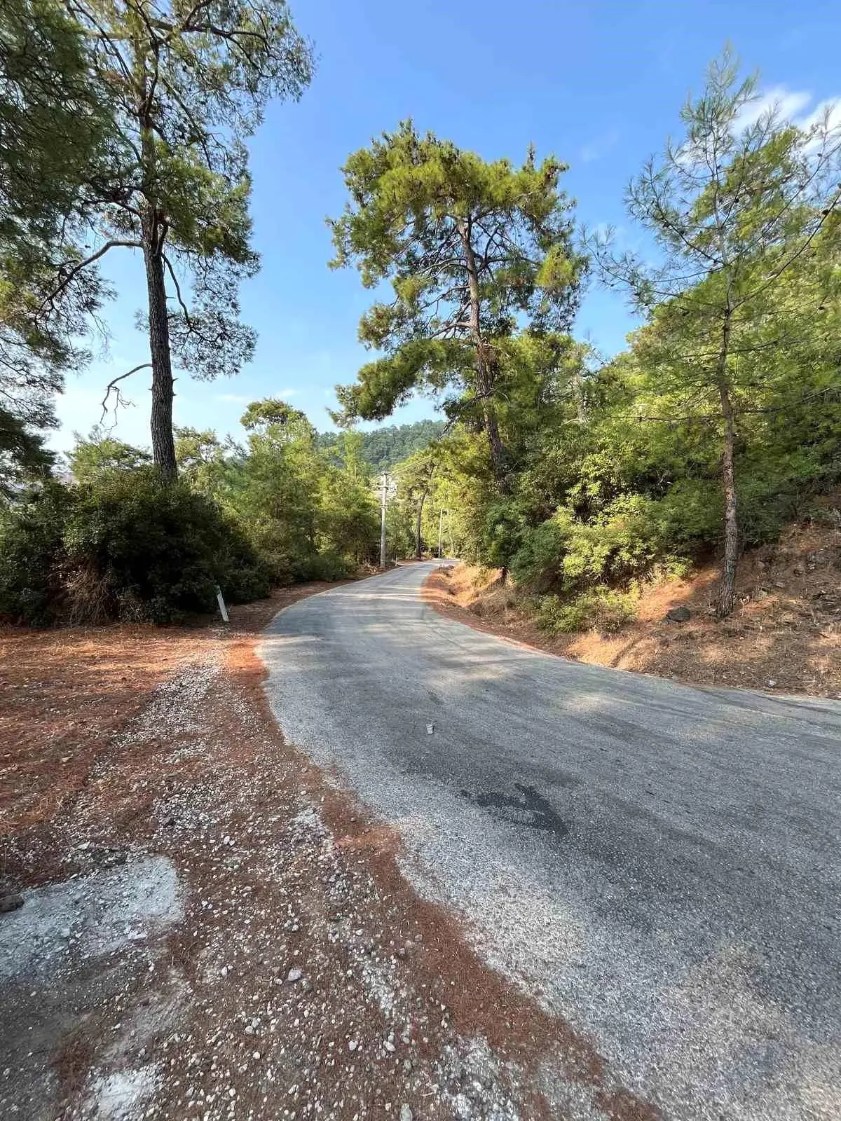 marmariste yangin onleme calismalari yayginlasirken n9RQMhc7