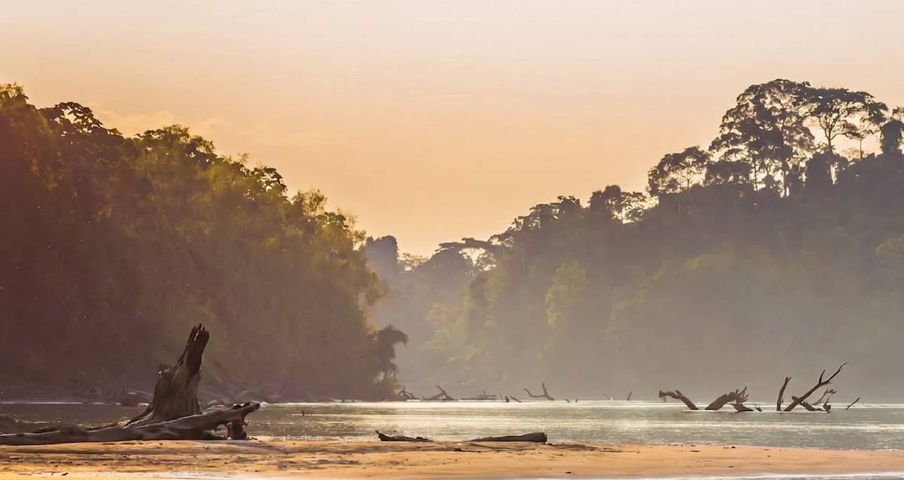 Amazon Nehri: Köprüsüz Dünyanın En Uzun Su Yolu